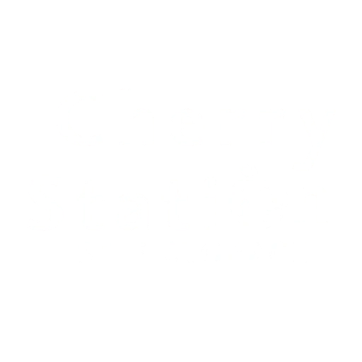 Cherry Station Self Storage Logo